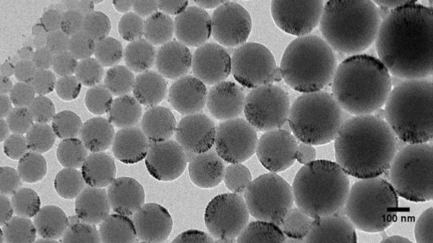 TEM measurement of encapsulated nanoparticles