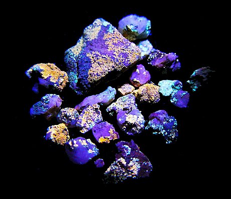 Grit Crust unter UV Licht. Die Flechten auf den Quarzsteinchen leuchten in unterschiedlichen Farben unter UV Licht.