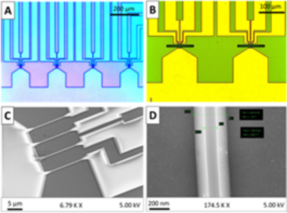 Silicon nanowire sensors fabricated in Zweibrücken in PROSENSE.