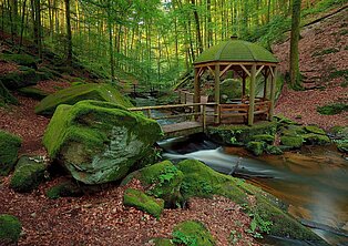 Pavillon in der Karlstalschlucht bei Kaiserslautern ((c) Westpfalz Mediathek, Fotografin: Anna Wojtas)