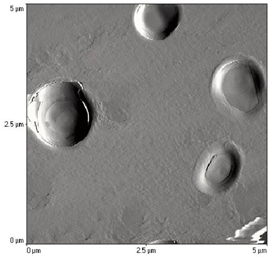 Lipid nanoparticles (Nano Lipid carriers - NLC°)