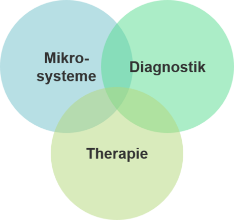 Der Fokus des Studiengangs "Biomedical Micro Engineering" liegt auf der Entwicklung von Mikrosystemen für Anwendungen in Diagnostik und Therapie (Grafik: Tarasov) Der Fokus des Studiengangs "Biomedical Micro Engineering" liegt auf der Entwicklung von Mikrosystemen für Anwendungen in Diagnostik und Therapie (Grafik: Tarasov)