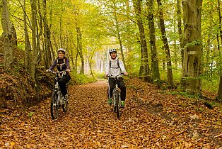 Pfälzerwald - Paradies für Wanderer, Radler und Mountainbiker ((c) Westpfalz Mediathek, Fotograf: Harald Kröher)