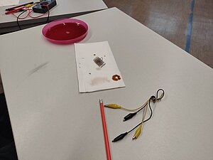 Workshop Solarzelle selber bauen – Grätzelzelle, Ada-Lovelace-Projekt RPTU