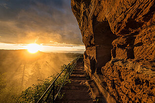 [Translate to Englisch:] Waldlandschaft in der Südpfalz_Glühender Sandstein auf der Burgruine Drachenfels ((c) Westpfalz Mediathek, Fotograf Stefan Engel)