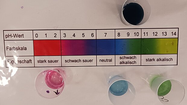 PH-Wertbestimmung mit dem Rotkohl-Indikator - kleine Gläschen mit bunten Flüssigkeiten