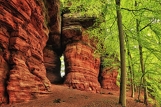 [Translate to Englisch:] Typische Sandsteinfelsformation in der Südpfalz, hier Altschlossfelsen ((c) Westpfalz Mediathek, Fotograf Harald Kröher)