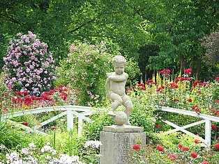 Rosengarten Zweibrücken ((c) Westpfalz Mediathek, Fotografin Judith Schlachter)