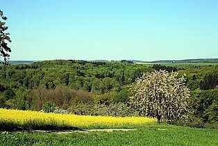 Landschaft um Zweibrücken ((c) Stadt Zweibrücken)