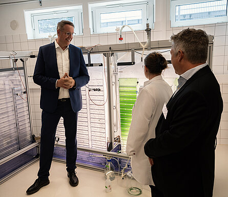 Hr. Schweitzer füllt mit Tanja und Michael Lakatos einen Photobioreaktor mit neuen Mikroalgen.
