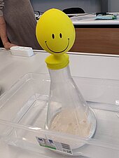 Workshop Mikrobielle Zellfabriken - Die Superkraft der Mikroorganismen, Melanie Roth, RPTU