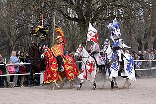 Mittelaltermarktauf dem Landgestüt in Zweibrücken ((c) Stadt Zweibrücken)