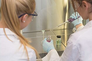 Studentinnen beim Pipettieren unter einem Abzug im Studiengang Applied Life Sciences am Campus Zweibrücken ((c) HSKL)