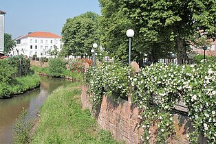 Allee Schwarzbach in Zweibrücken ((c) Stadt Zweibrücken)